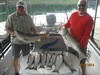 (06/01/2014) - Nice Striped Bass